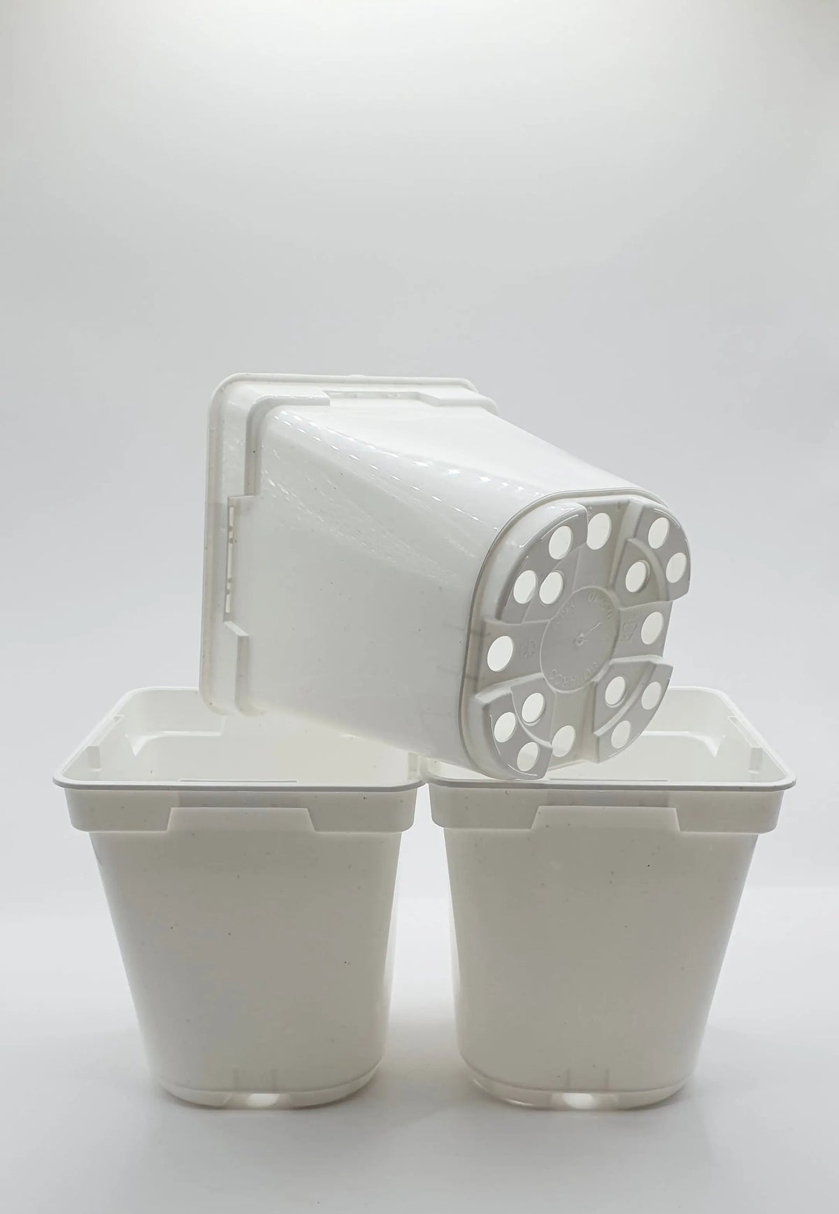 Pot Blanc carré à fond rond 9x9x10 cm CARNIVORE DE SOLOGNE