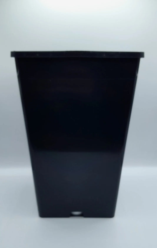 Pot carré 15x15x23,5 cm CARNIVORE DE SOLOGNE