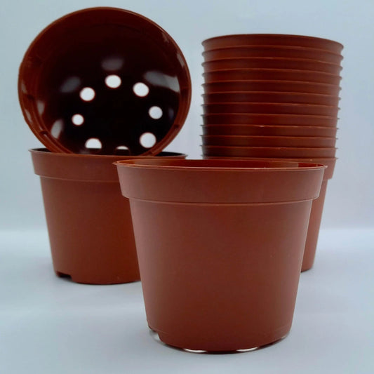 Pot rond 8x6,5cm CARNIVORE DE SOLOGNE